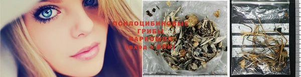 стафф Арсеньев