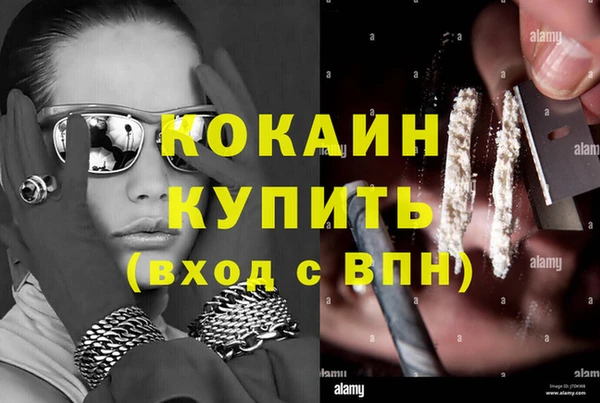 стафф Арсеньев