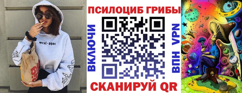 Галлюциногенные грибы Psilocybe Пустошка